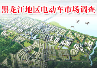 黑龙江地区电动车市场调查
