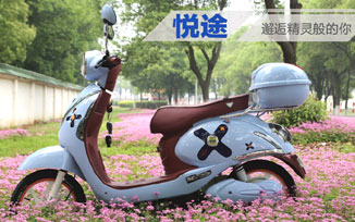 【新品】绿能悦途：不期然的相遇，邂逅精灵般的你  