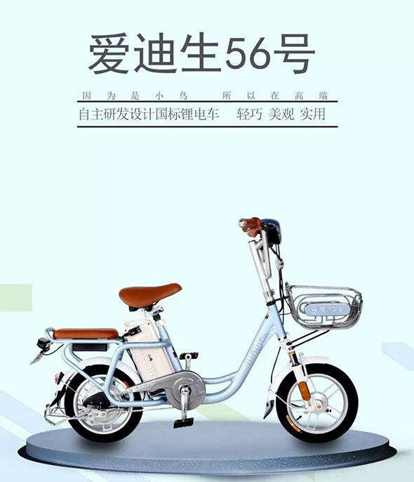 小鸟国标车爱迪生56号值得拥有！