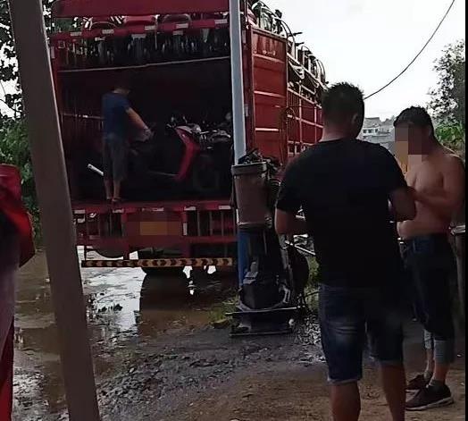 警惕这类经销商，一时倒卖一时爽！监管一查“火葬场”！