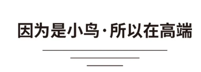 我是小鸟 潮流随我