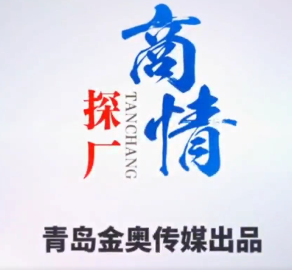商情探厂丨小鸟一鸣惊人！