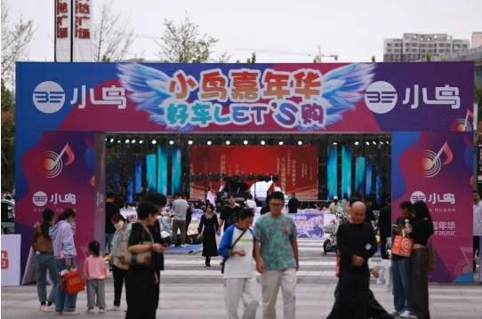 品效爆发、全量增长|小鸟嘉年华如何打造品牌高光时刻！
