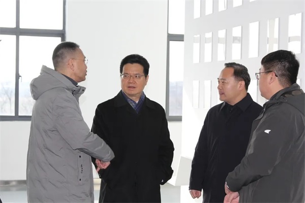 徐州市市长王剑锋率队半年内二度视察金彭集团