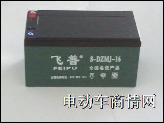 厂家供应飞普16V16A电动车蓄电池