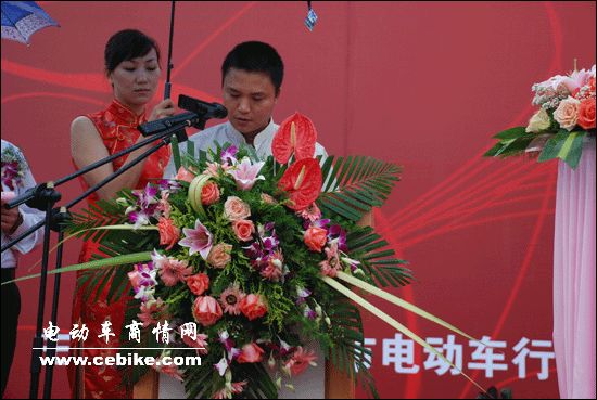 2008�ڶ����й�(����)�綯����ȼ�����������㲿��չ����