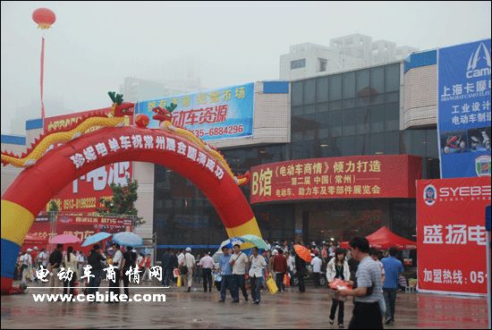 2008�ڶ����й�(����)�綯����ȼ�����������㲿��չ����