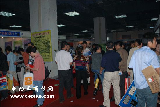 2008�ڶ����й�(����)�綯����ȼ�����������㲿��չ����